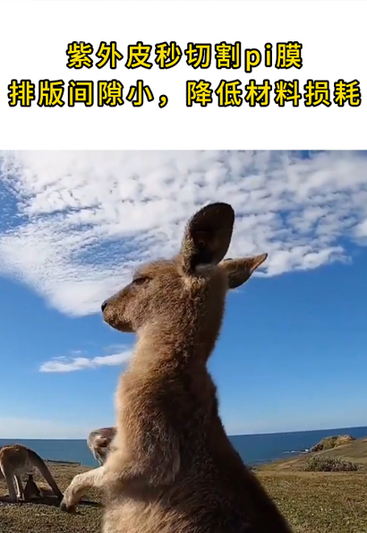 激光切割pi膜
